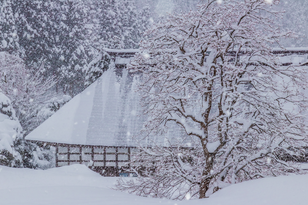 雪の降る生活