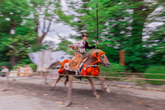 寒川神社　流鏑馬神事2025