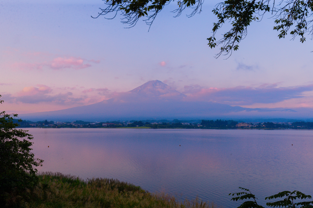 とある朝の風景