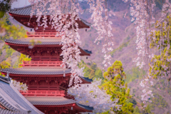 春のひと時