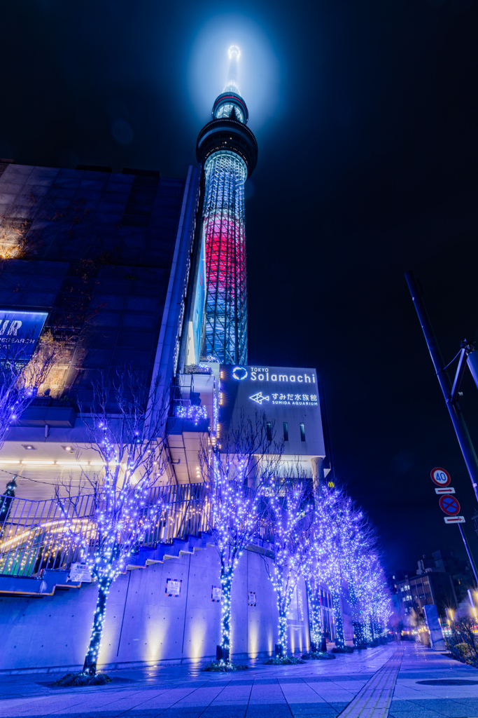 夜の散歩　東京スカイツリー編　その５