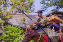 鶴岡八幡宮　流鏑馬神事2025夏