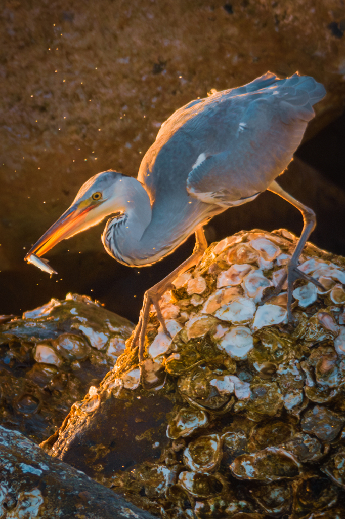 一瞬の出来事…
