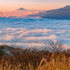 雲上の富士