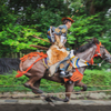 神速の弓馬