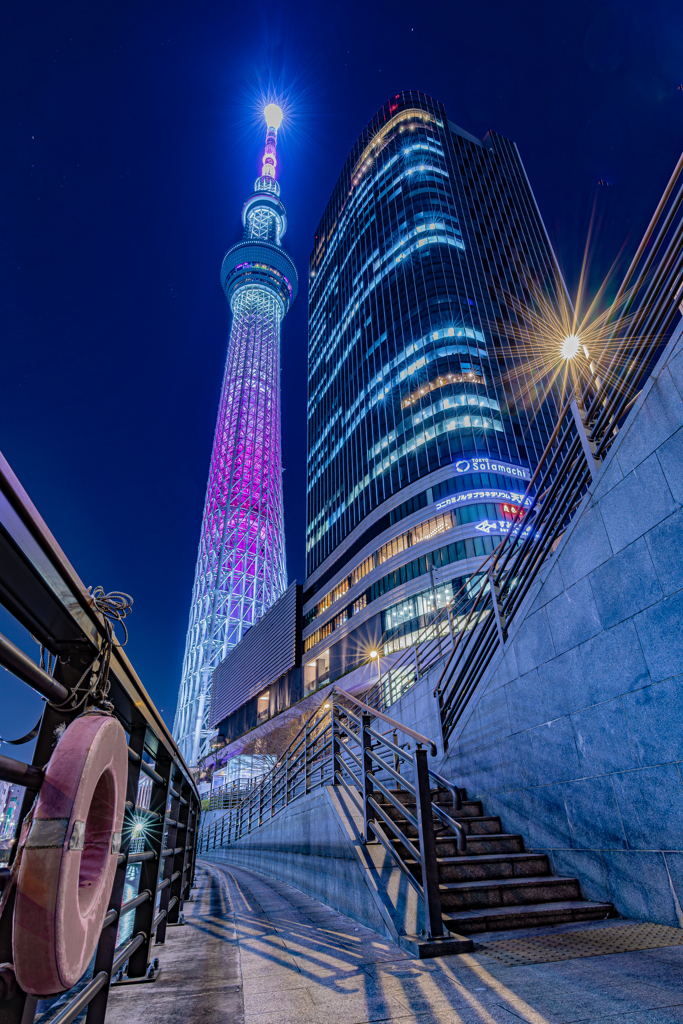 夜の巨塔