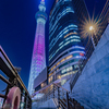 夜の巨塔