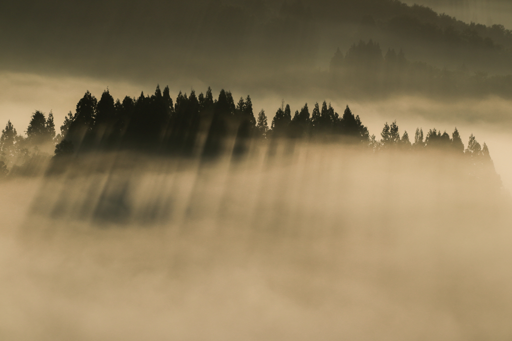 棚田より　光と影その１