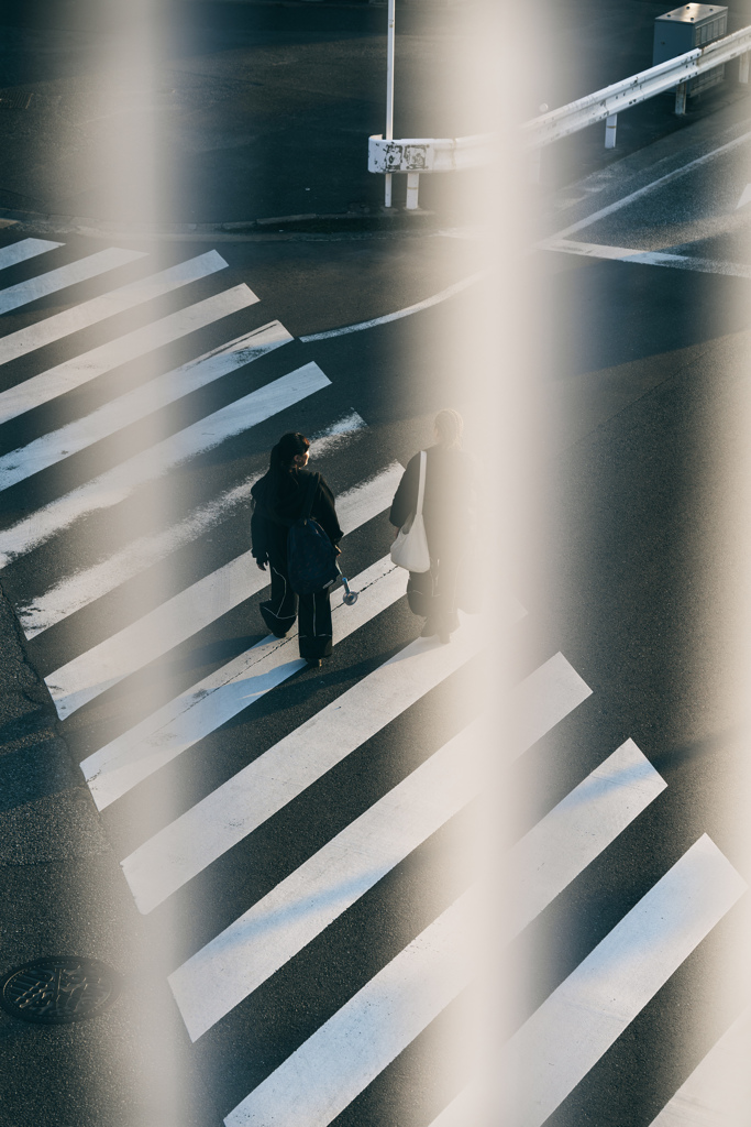 横断歩道