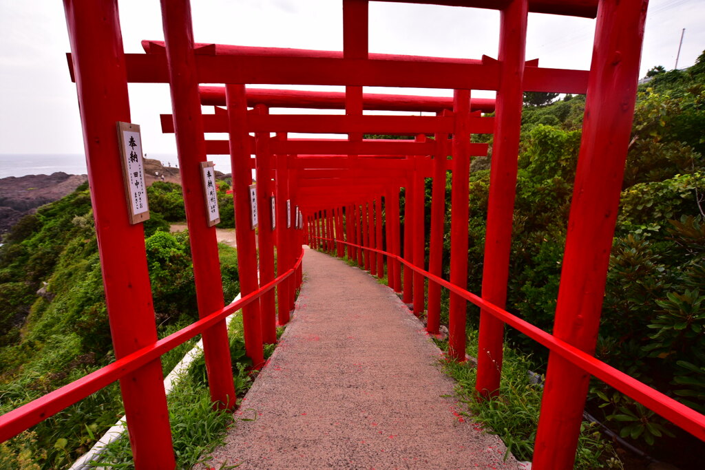 元乃隅神社　鳥居