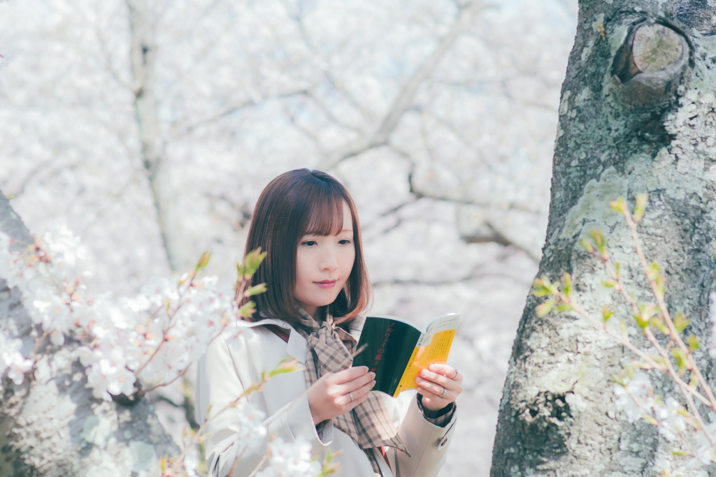 ここでも読書