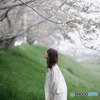 葉桜