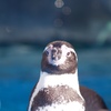 動物園にて　7