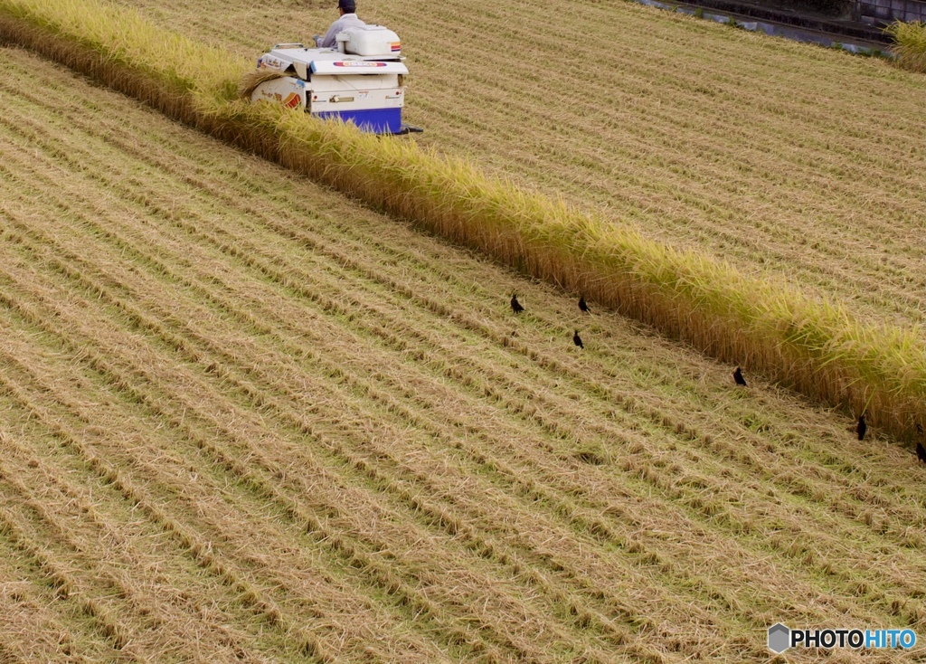 秋の気配