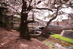 阪急夙川駅のホーム