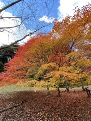 グラデーション