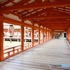 宮島　厳島神社　2