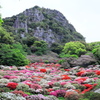 御船山楽園つつじ谷