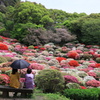 御船山楽園つつじ谷
