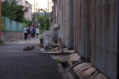 多生の縁