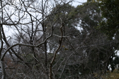 これが限界