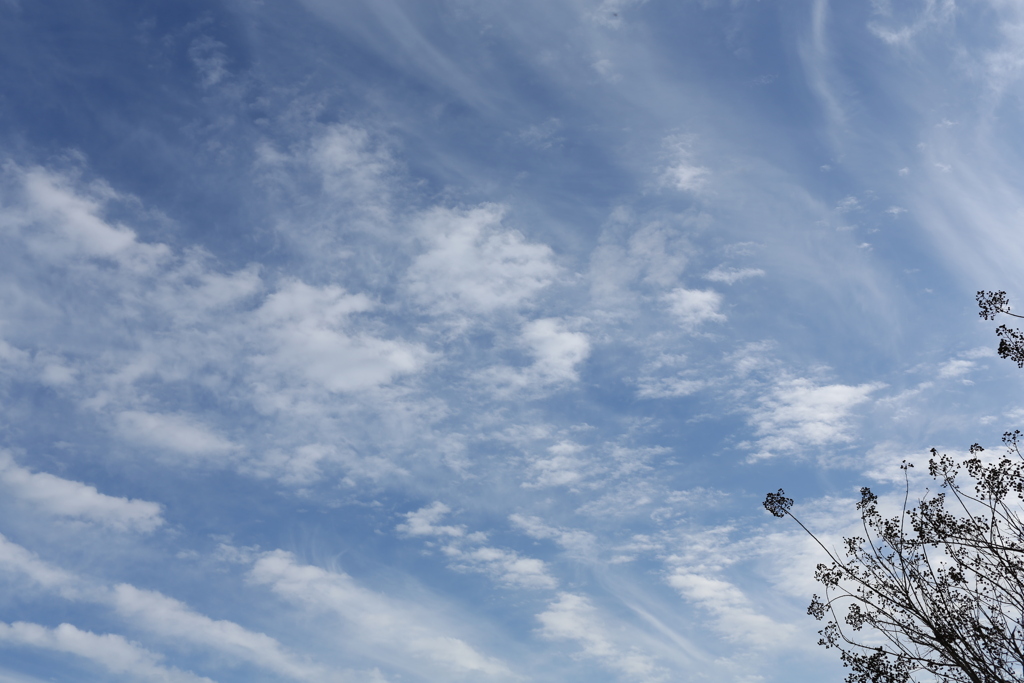 悲しげな秋(？)の空