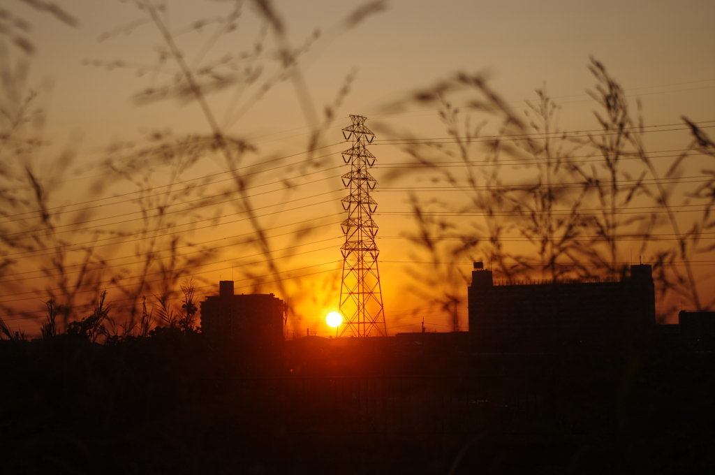 草むらから見た夕陽と鉄塔