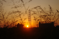 草むらから見た夕陽と鉄塔