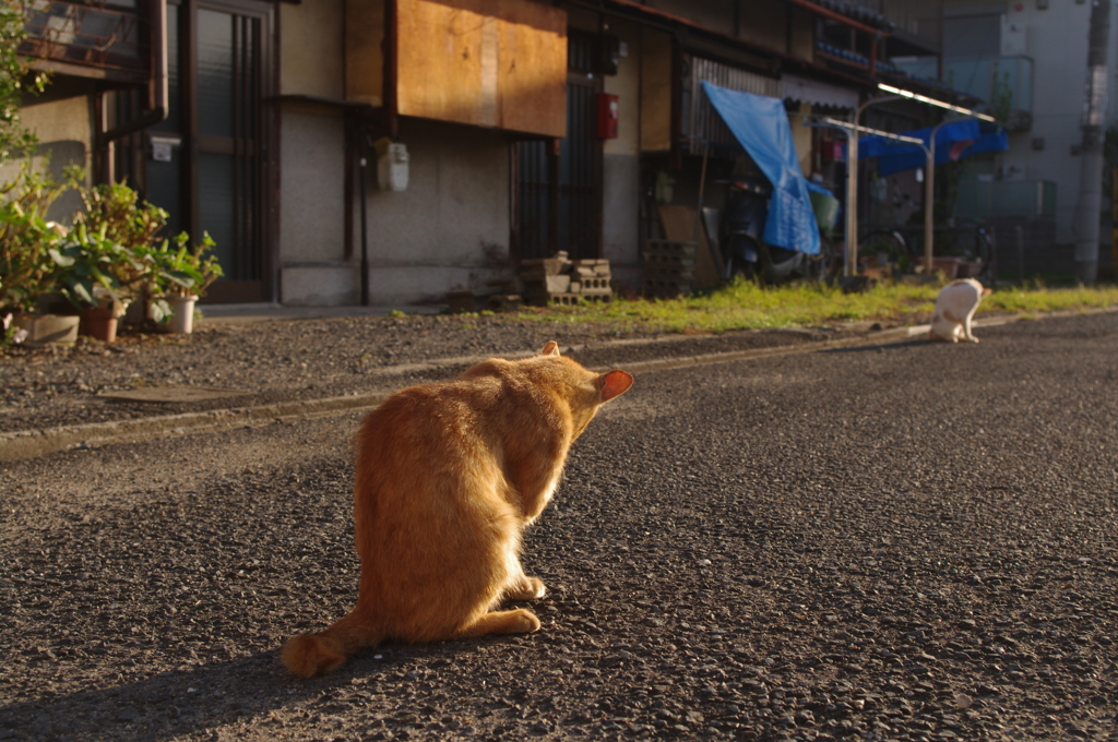 夫婦の距離感