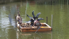 カルガモの親子と撹拌機(?)