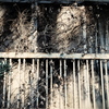 Landscape・窓辺の冬－Jan. 2022