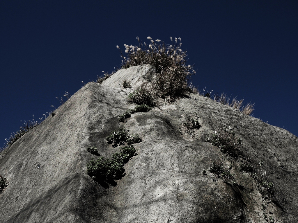 Landscape－Nov. 2019