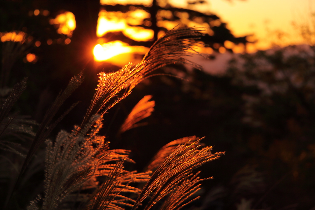 修験山の夕陽