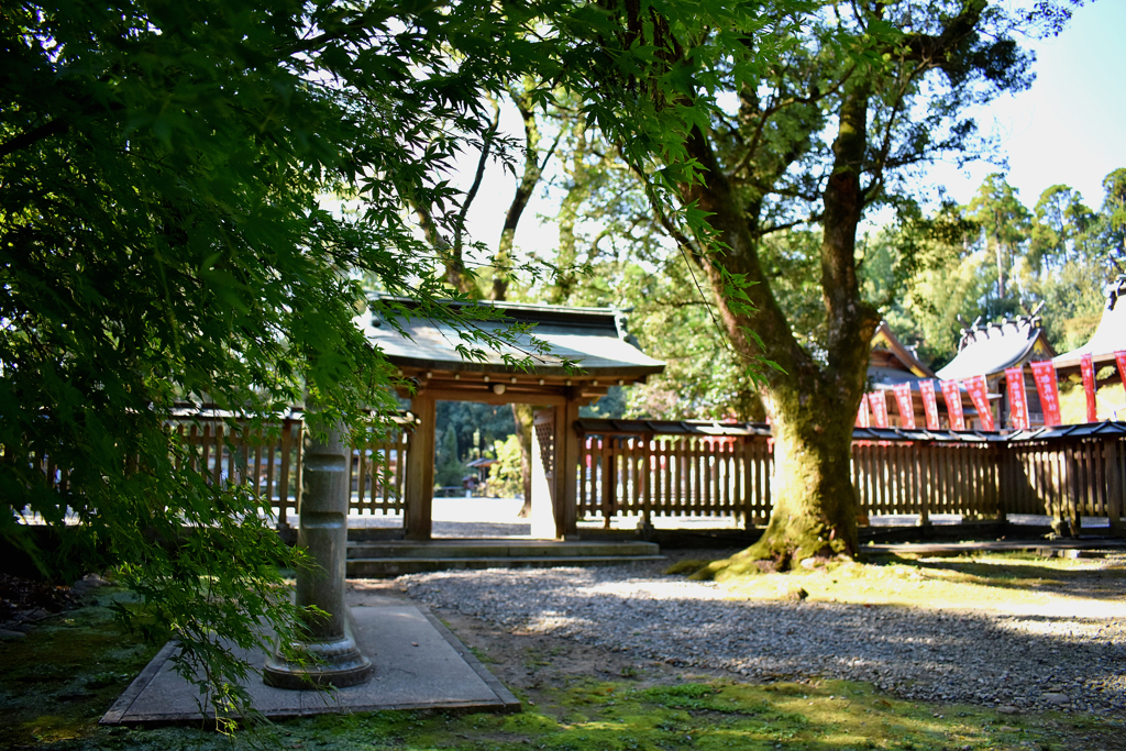 神社の一風景