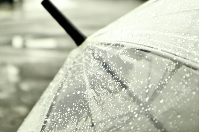 雨
