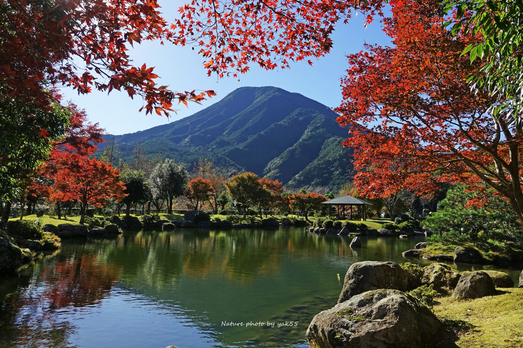 晩秋庭園