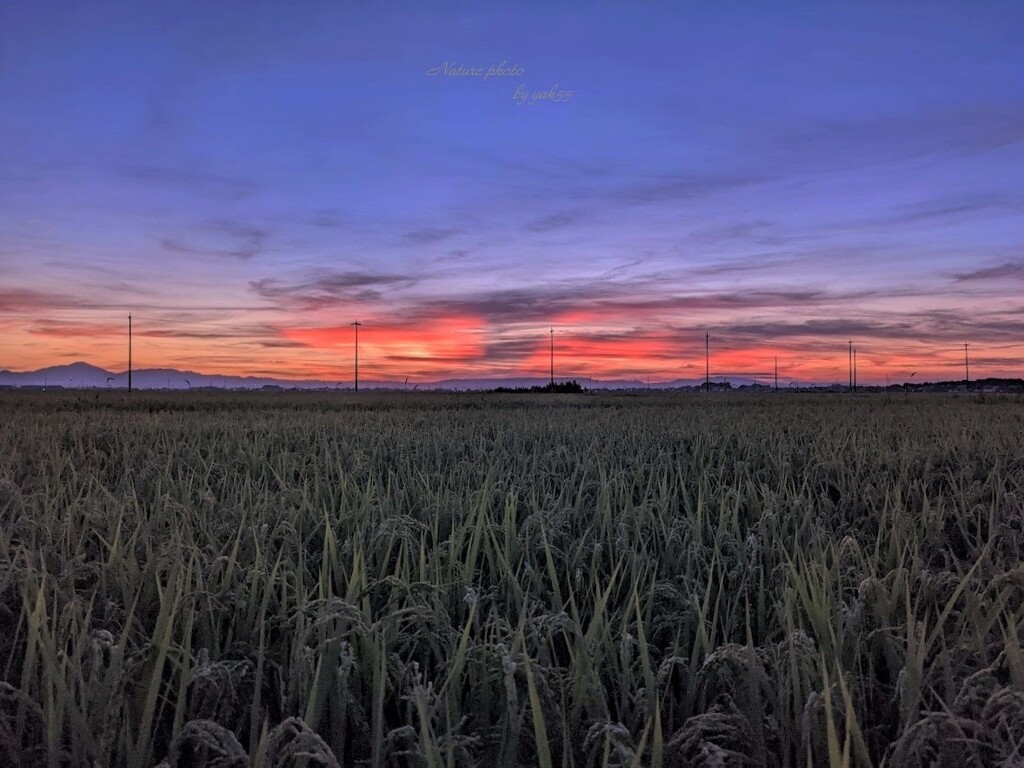 夏夕景（いつものウォーキング）