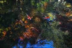 リフレの中で・・