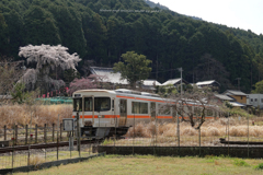 春の紀勢本線