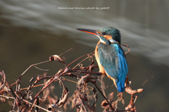 目の前にちょこんと