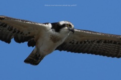 さ～仕事だ～Ⅱ