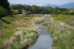 小川に幟