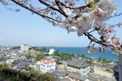 高台から春を