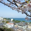 高台から春を