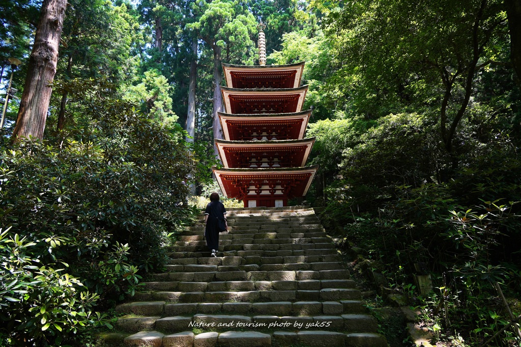 国宝（室生寺）Ⅲ