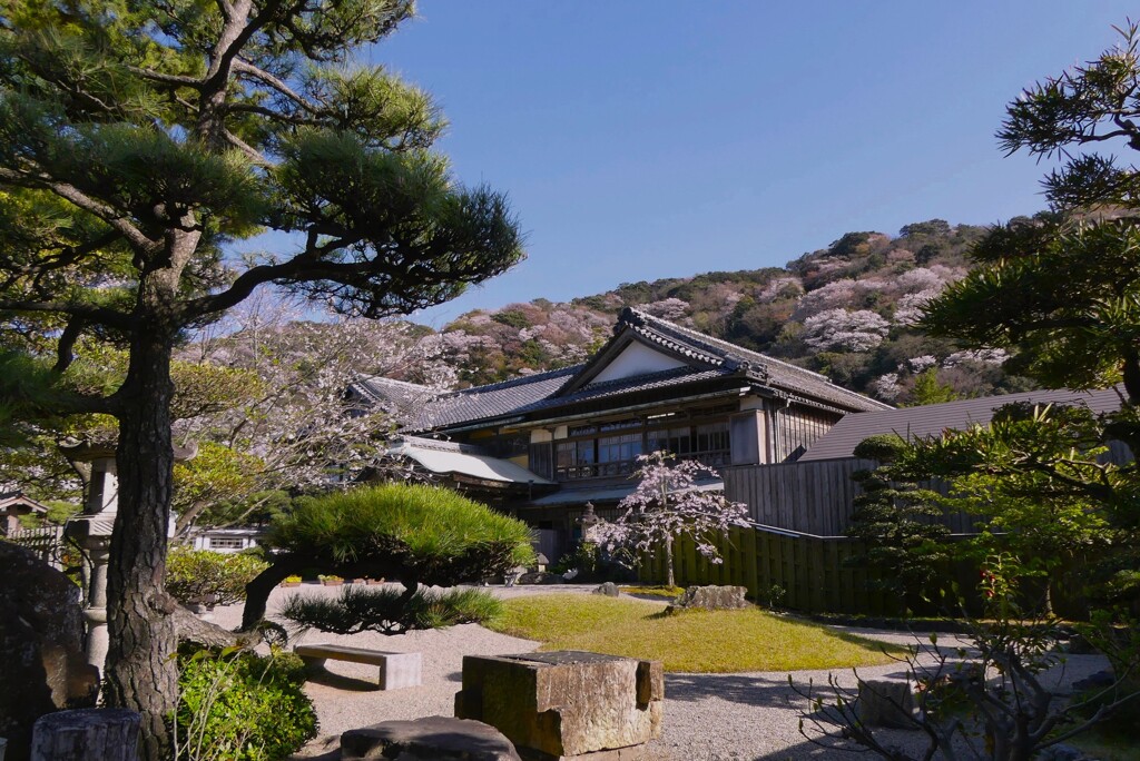 春の海岸線散策