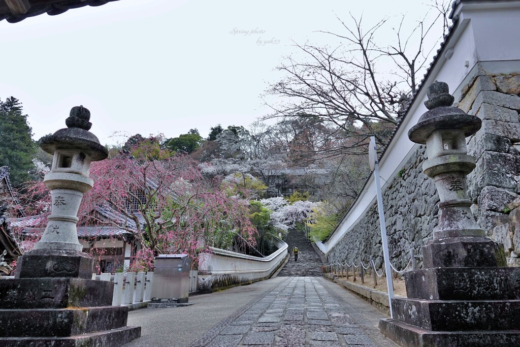 石段（長谷寺シリーズ）