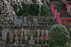 春のお地蔵さん