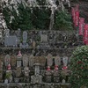 春のお地蔵さん