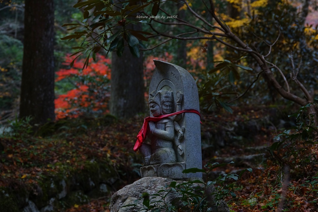 晩秋寺院